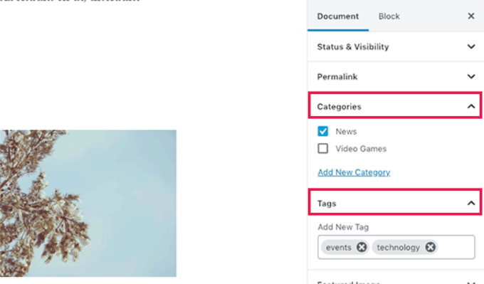 Adding categories and tags