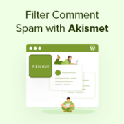 Filter spam comment with Akismet