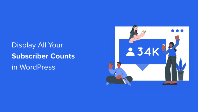 How to display all your subscriber counts in WordPress