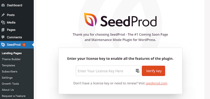 seedprod license key