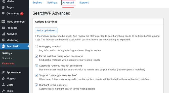 SearchWP Advanced Settings